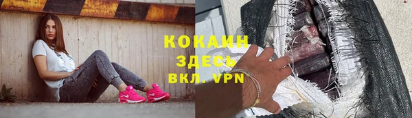 спайс Бородино