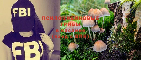 ALPHA-PVP Бугульма
