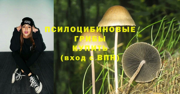 героин Богданович