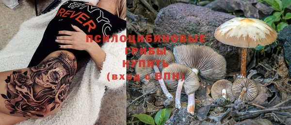 спайс Бородино