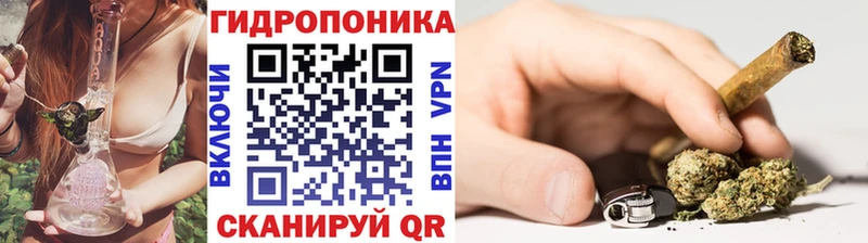 дарнет шоп Нелидово Бошки марихуана план